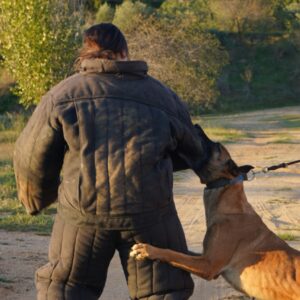 Curso de especialización de vigilancia con perros