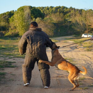 Guía Canino + 1 Especialización